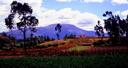 Countryside.